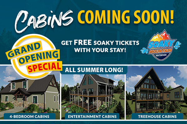 Cabins Grand Opening Special