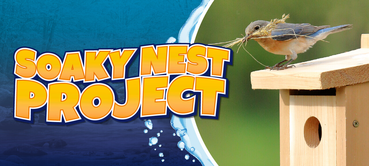 Soaky Nest Project